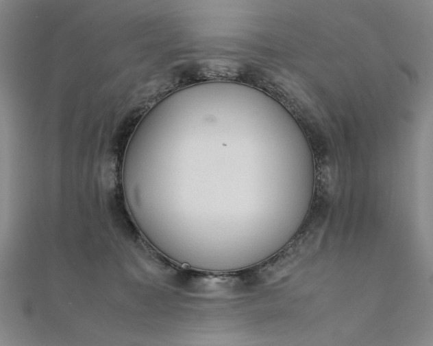 X0000111860323200908061341