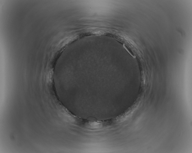 X0000111860325200908061341