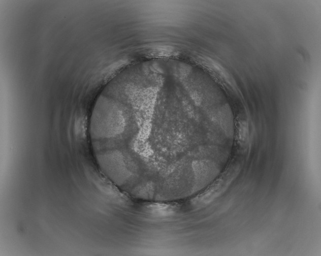 X0000111860326200908061341