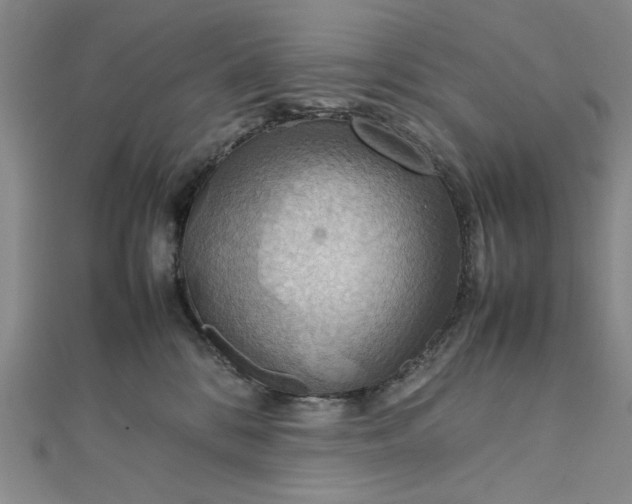 X0000111860328200908061341