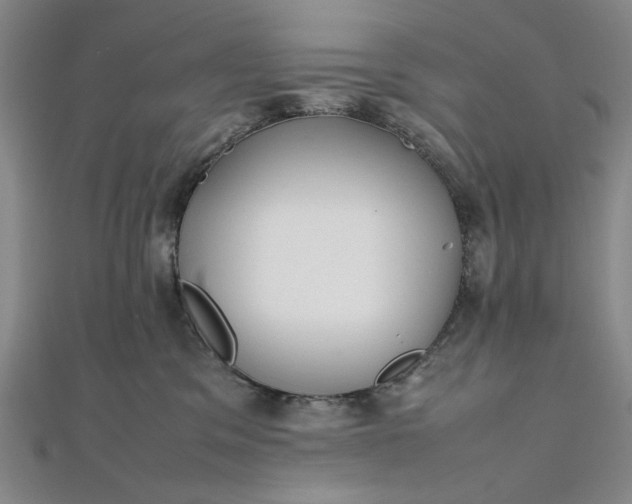 X0000111860329200908061341