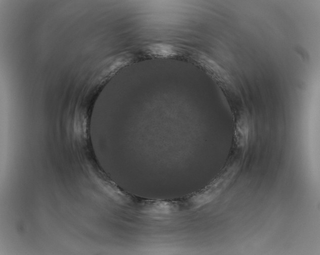 X0000111860330200908061341