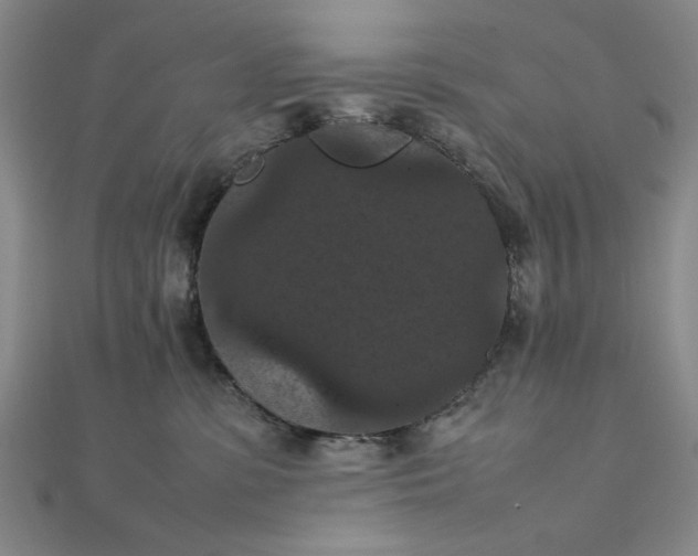 X0000111860331200908061341