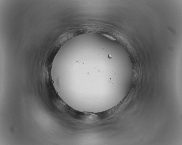 X0000111860333200908061341