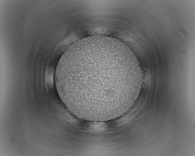 X0000111860334200908061341