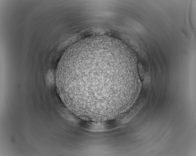 X0000111860335200908061341