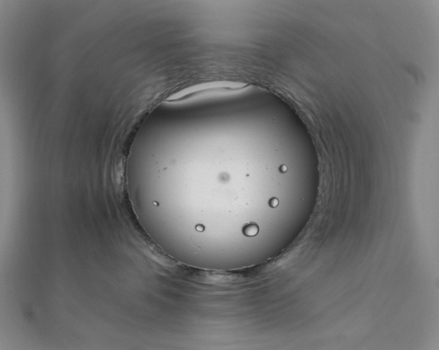 X0000111860336200908061341