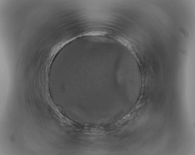 X0000111860337200908061340