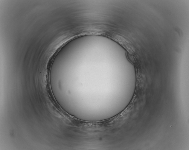 X0000111860338200908061340