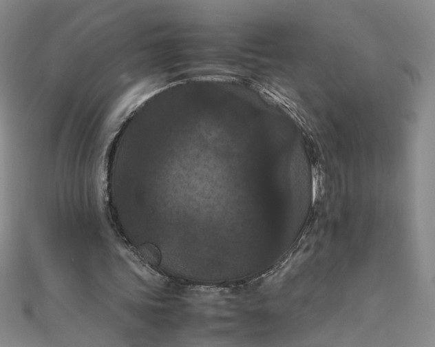 X0000111860339200908061340