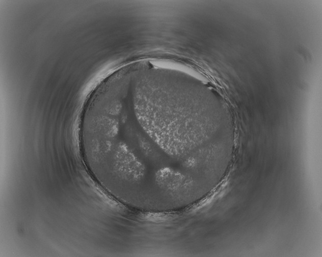 X0000111860341200908061340