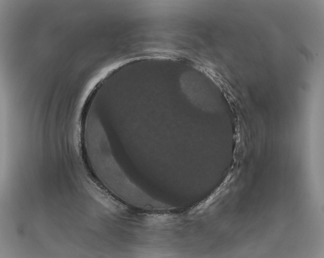 X0000111860342200908061340