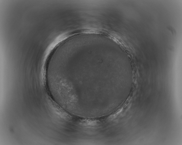 X0000111860343200908061340