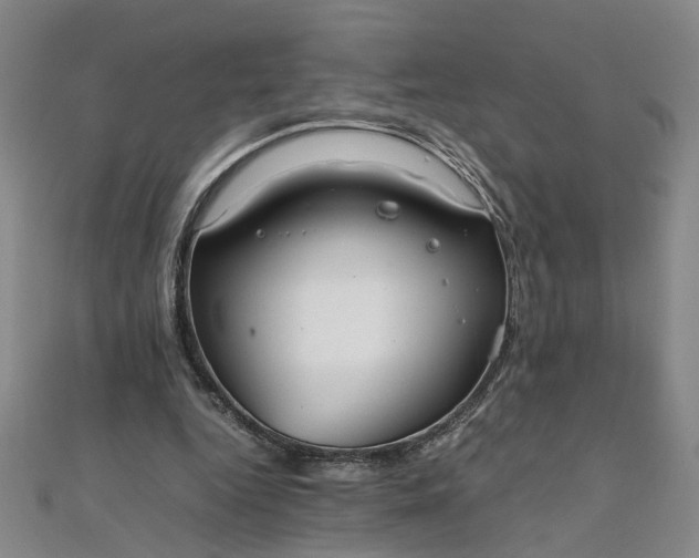 X0000111860344200908061340