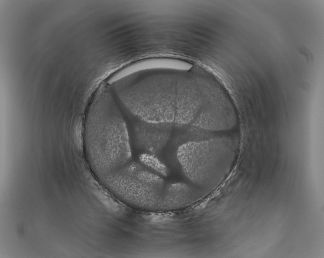 X0000111860345200908061340