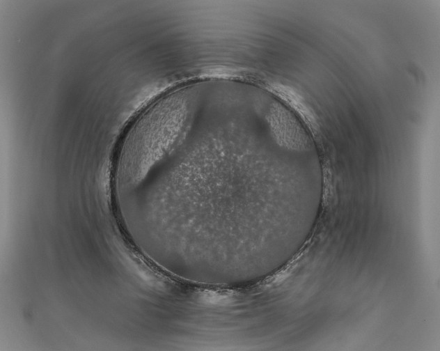 X0000111860346200908061340