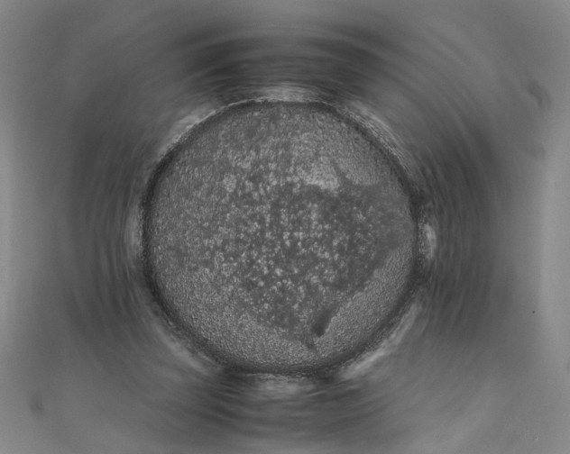 X0000111860347200908061340