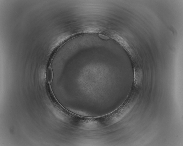 X0000111860348200908061340