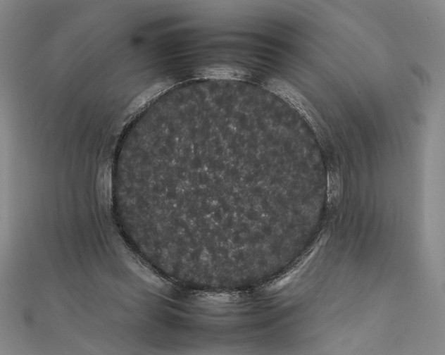 X0000111860349200908061340