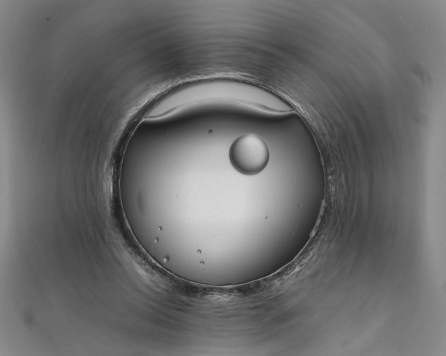 X0000111860350200908061340