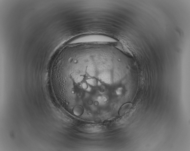 X0000111860351200908061340