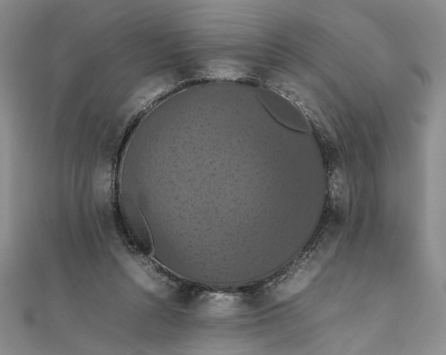 X0000111860352200908061340