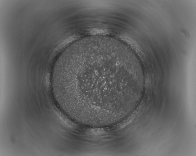 X0000111860353200908061340