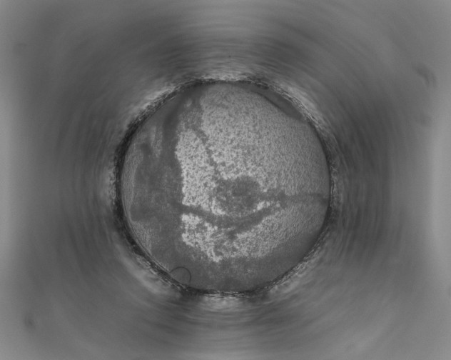 X0000111860354200908061340