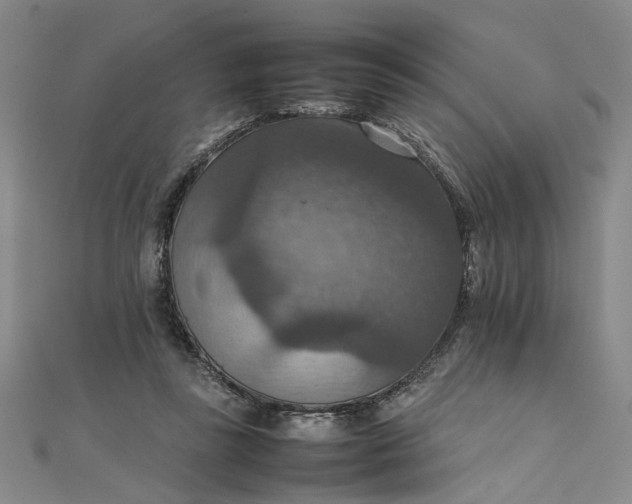 X0000111860355200908061340