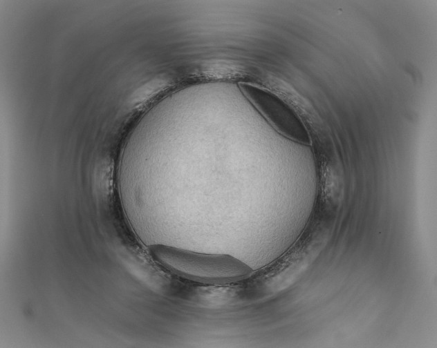 X0000111860356200908061340