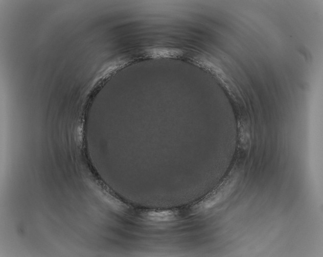 X0000111860357200908061340