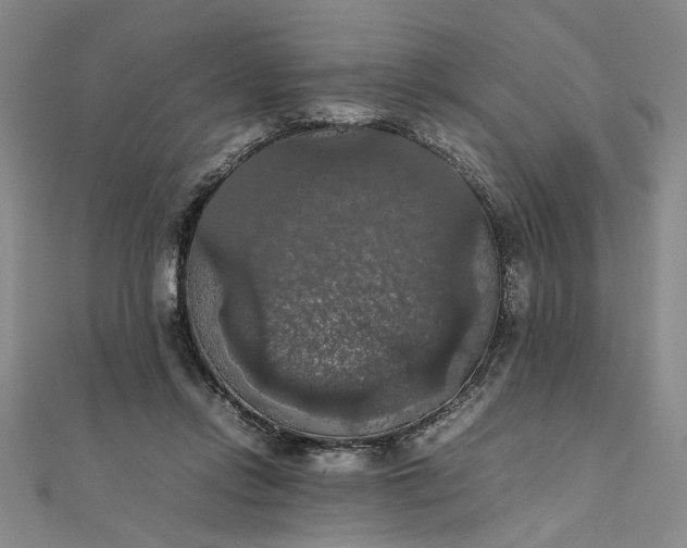 X0000111860358200908061340