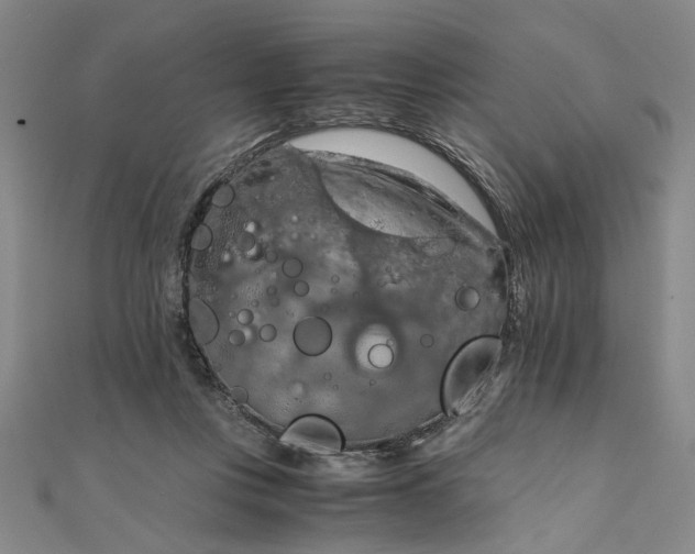 X0000111860359200908061340