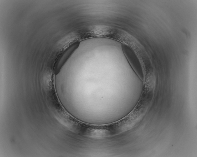 X0000111860360200908061340