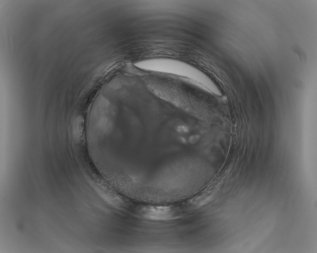 X0000111860361200908061340