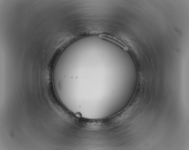 X0000111860362200908061340