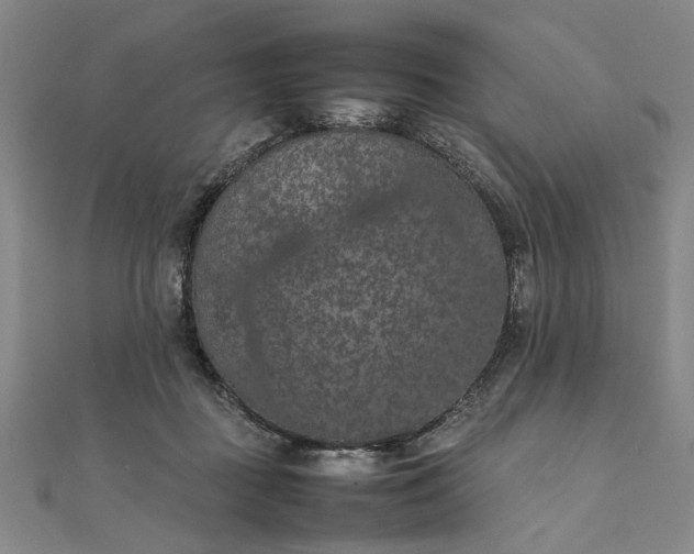 X0000111860363200908061340