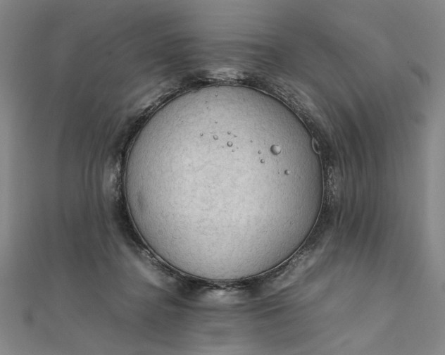 X0000111860364200908061340