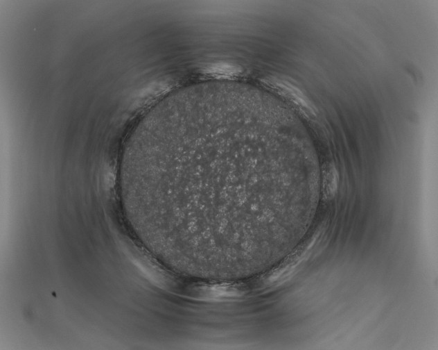 X0000111860365200908061340