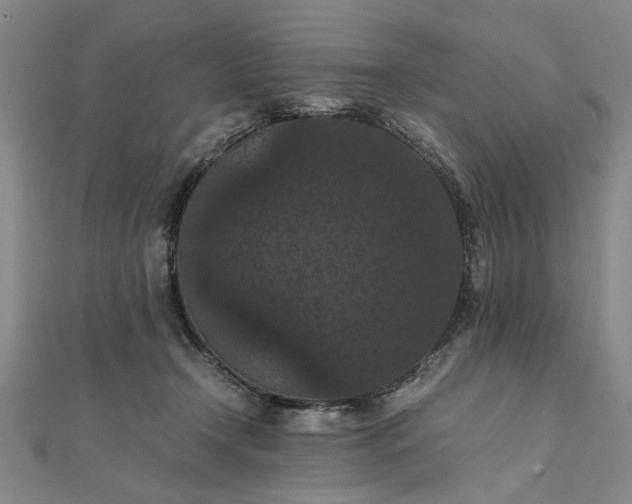 X0000111860366200908061340