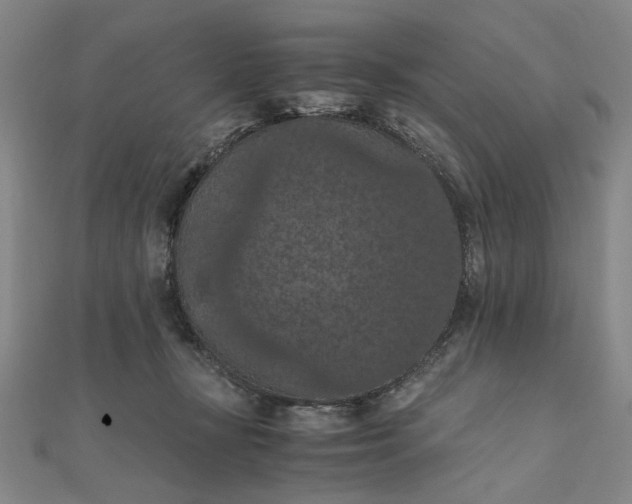 X0000111860367200908061340