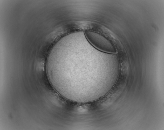 X0000111860368200908061340