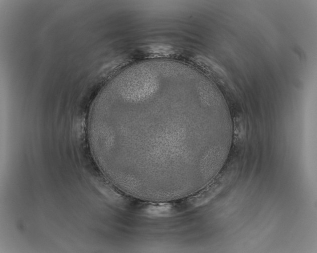 X0000111860369200908061340