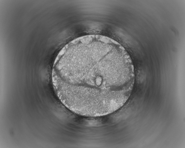 X0000111860370200908061340