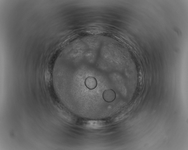 X0000111860371200908061340