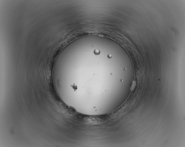 X0000111860372200908061340