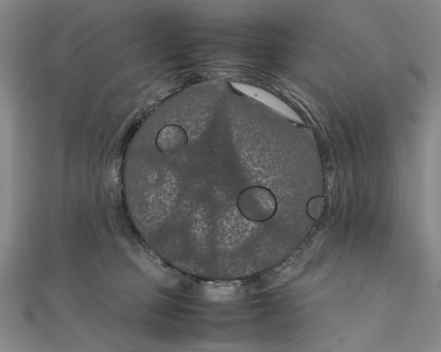 X0000111860373200908061340