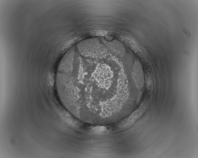 X0000111860374200908061340