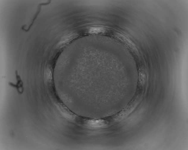 X0000111860375200908061340