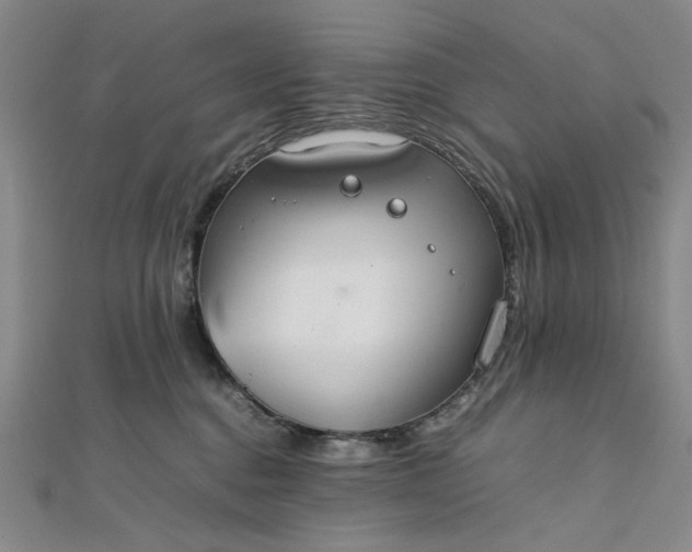 X0000111860376200908061340